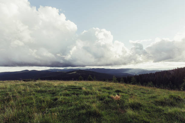 istock Sun setting behind spruce trees on a lush green slop 956450688