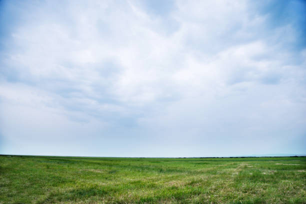 Landscape with grass field and sky