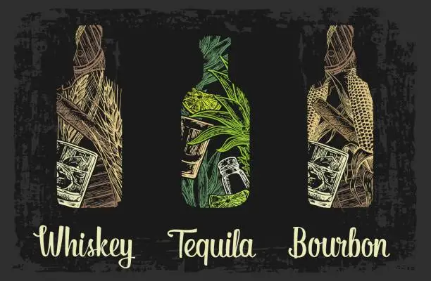 Vector illustration of Whiskey and tequila bottle with glass, ice cubes, barrel, cigar, cactus, salt and lime.