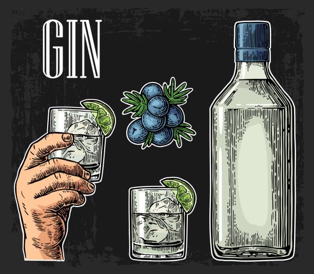 glas und flasche gin zweig wacholder mit beeren - tonic water stock-grafiken, -clipart, -cartoons und -symbole