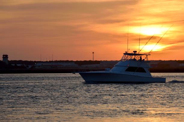 istock Boat cruising on the river 956462268