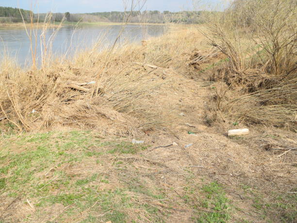 istock the banks of the river on a sunny spring day 956462448