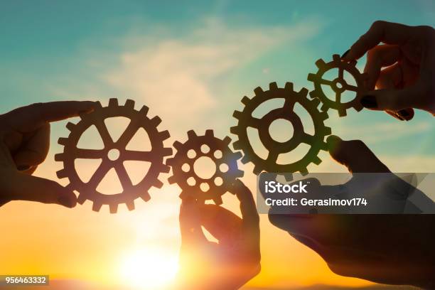 Four Gears In Hands Stock Photo - Download Image Now - Teamwork, Gear - Mechanism, Cooperation