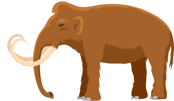 ilustrações, clipart, desenhos animados e ícones de caráter animal de mamute vector mamífero com tusk e tronco na stoneage antiga ilustração de elefante pré-histórico isolado no fundo branco - fossil fuel