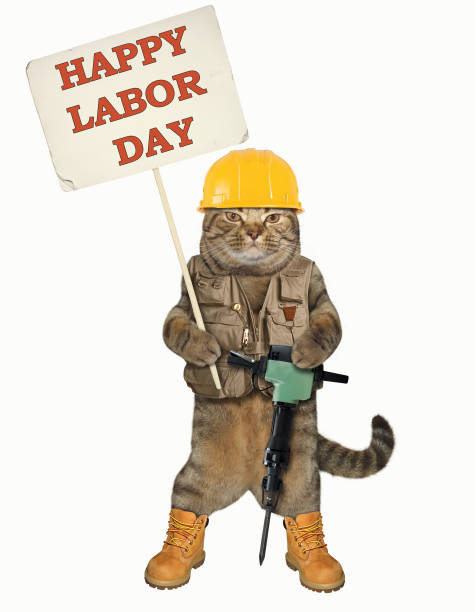 istock Cat in shoes with a hammer 956469086