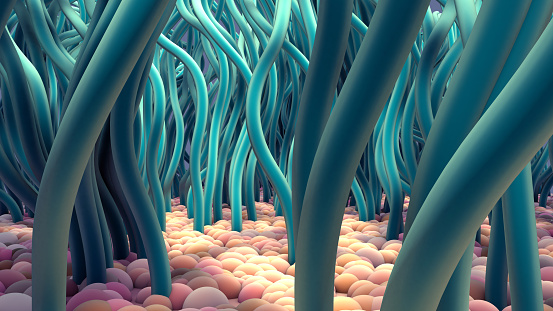 3d illustration Ciliated Cells