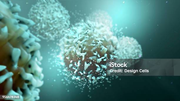 Tcells Stock Photo - Download Image Now - Biological Cell, Immune System, The Human Body
