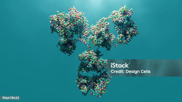Antibody Stock Photo - Download Image Now - Antibody, Molecule, Protein