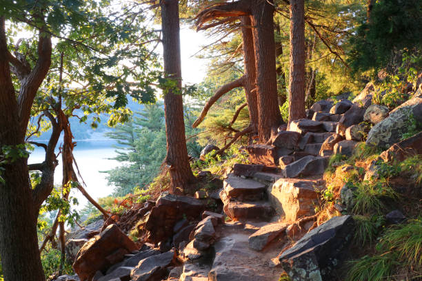 Beautiful Wisconsin summer nature background. Ice age hiking trail and stone stairs in sunlight during sunset hours. Devil"u2019s Lake State Park, Baraboo area, Wisconsin, Midwest USA. wisconsin stock pictures, royalty-free photos & images