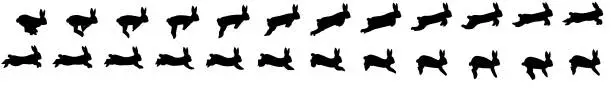 Vector illustration of Rabbit run cycle animation sprite sheet