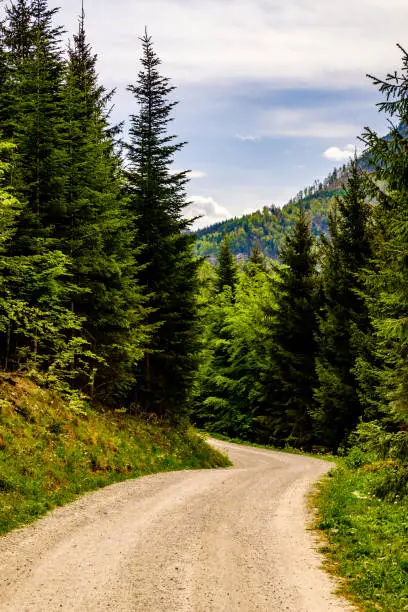 Road in forest in mountains near Gmunden city, Austria