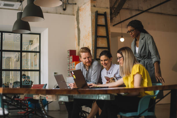istock The talent behind a growing startup 956484162