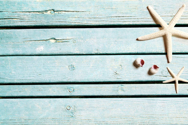 istock Sea life on wooden blue boards 956500516