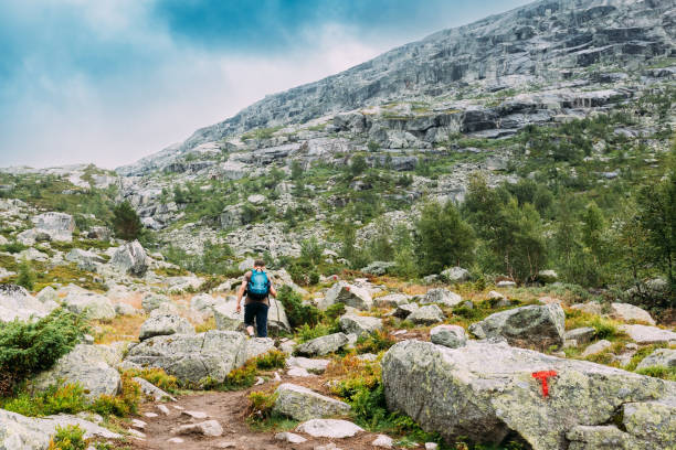 istock Rear View Of Man Climbing On Mountain Against Sky 956505454