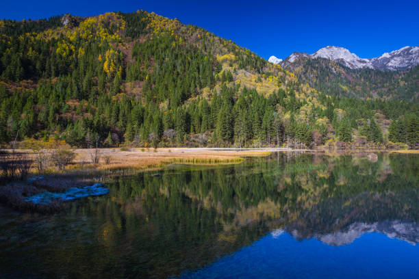 istock Autumn forest & Lake landscape in Jiuzhaigou 956513432