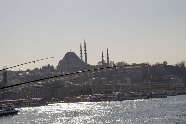 istock Ottoman style mosque in Istanbul 956514656
