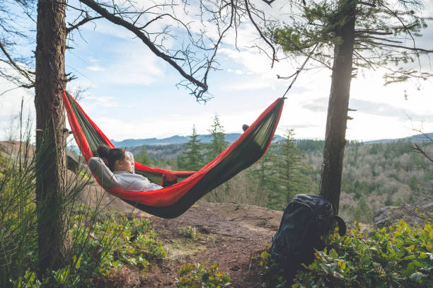 istock A young woman relaxes in a hammock in the forest 956521004