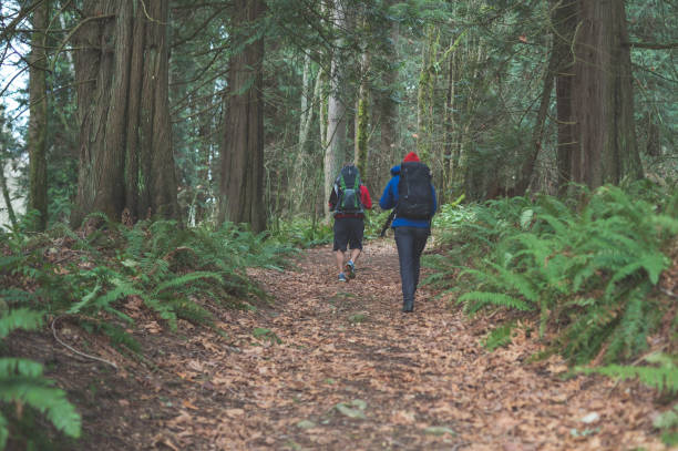 istock Parents hiking with young children in the forest 956521018