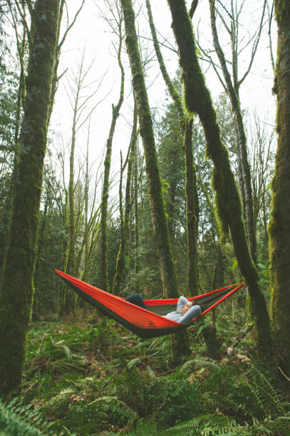 istock Millennial ethnic woman relaxing in a forest hammock 956521038