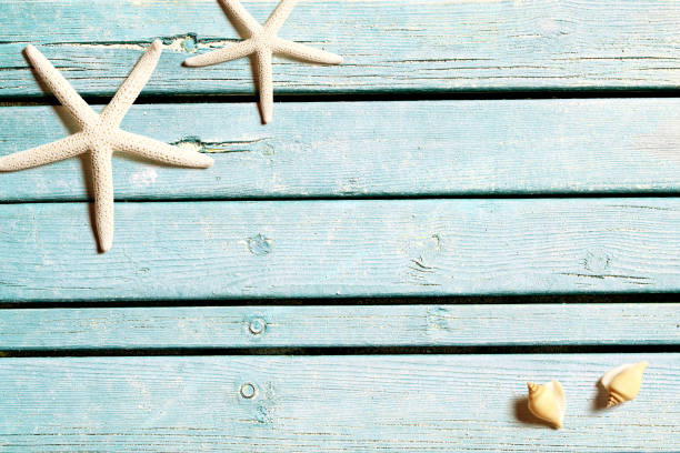 istock Sea life on wooden blue boards 956526958