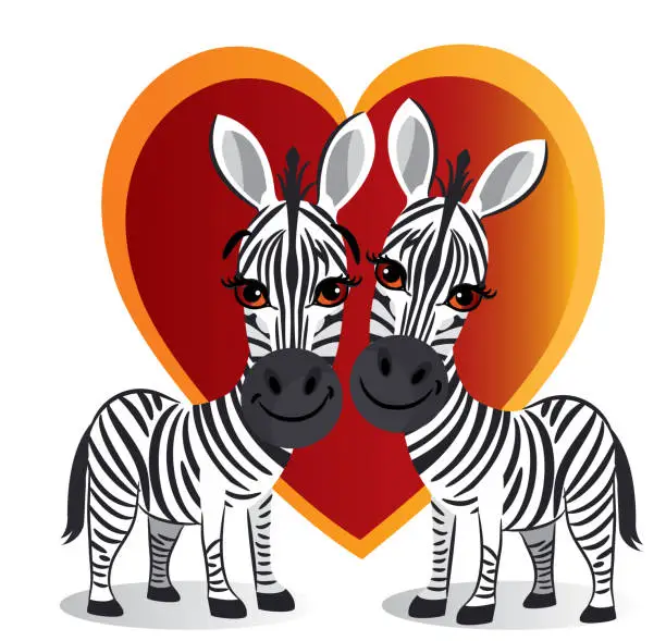 Vector illustration of Love of Zebras