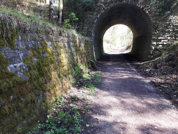 istock Woodland tunnel 956537560