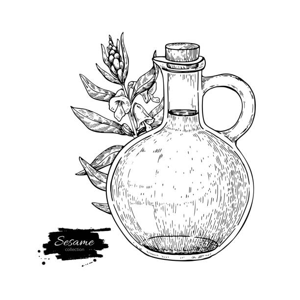ilustraciones, imágenes clip art, dibujos animados e iconos de stock de botella de aceite de sésamo con la planta. vector ilustración dibujado a mano. - decanter