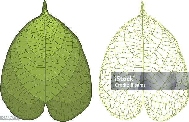 Folha De Detalhada - Arte vetorial de stock e mais imagens de Beleza natural - Beleza natural, Botânica - Ciência de plantas, Clip Art