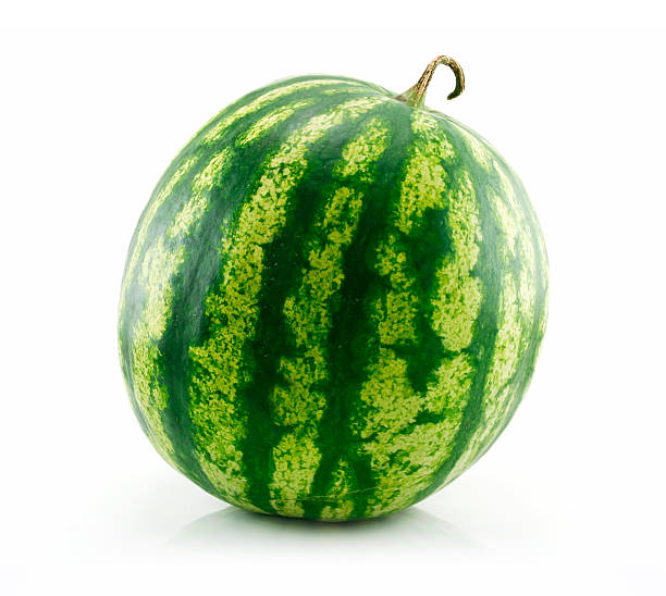 istock Ripe Green Watermelon Isolated on White 95655162