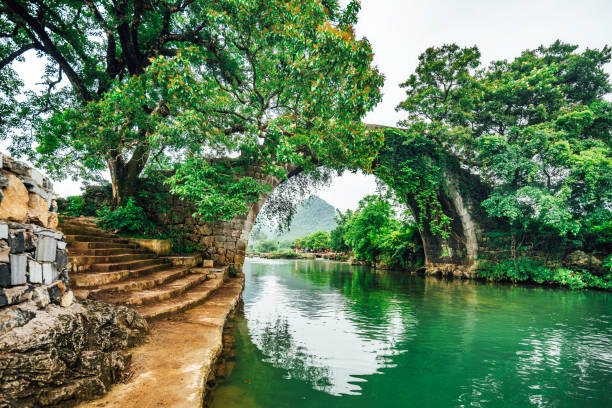 Dragon Bridge of Yangshuo, China Dragon Bridge in Yulong Village, Yangshuo, Guilin, Guangxi Province li river stock pictures, royalty-free photos & images