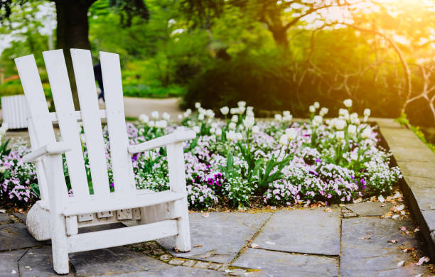 white pleasure chair in city park in hamburg. spring time the best time to visit center park planten un blomen during blooming in hamburg - blomen imagens e fotografias de stock