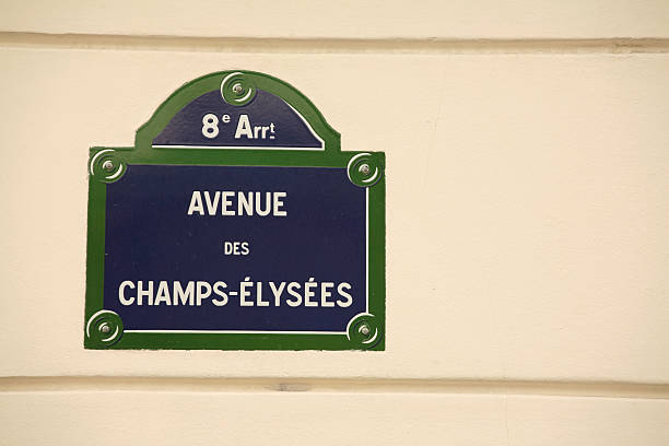 istock Avenue Des Champs-Elysees street sign 95656229
