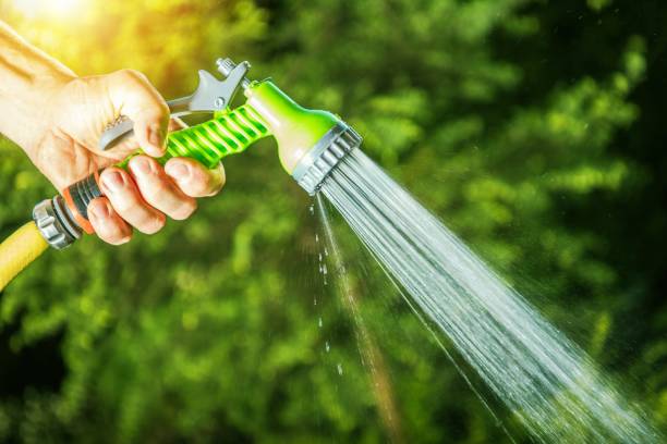 istock Garden Watering Closeup 956565128