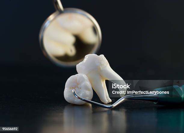 Dental Treatment Stock Photo - Download Image Now - Anatomy, Color Image, Dental Equipment