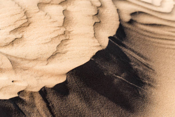 istock Background texture of sand pattern of dune 956569920