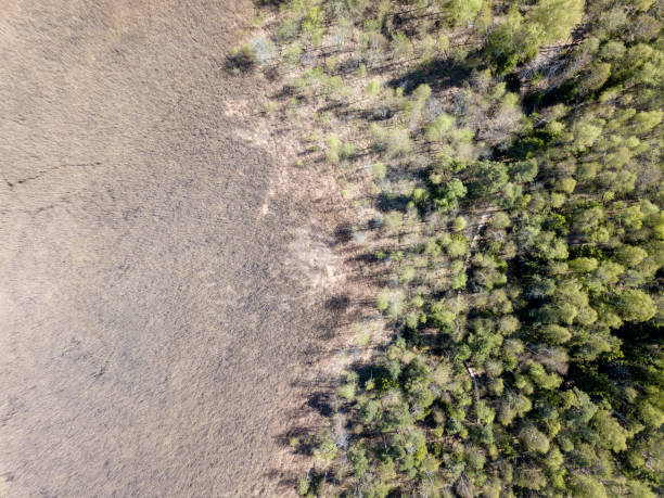 istock drone image. aerial view of rural area with fields and forests 956570272