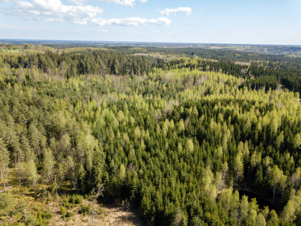 istock drone image. aerial view of rural area with fields and forests 956570424