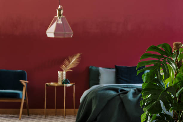 istock Monstera Deliciosa plant in bedroom 956571376