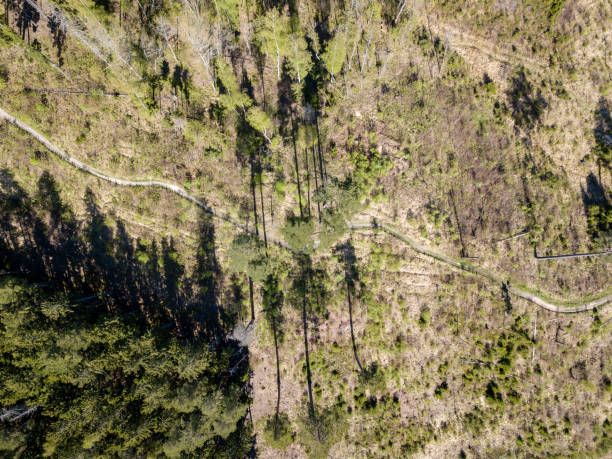 istock drone image. aerial view of rural area with fields and forests 956574150