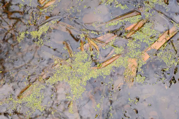 Simple photo background composition image of mirror pond