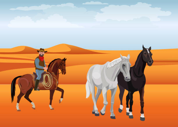 illustrazioni stock, clip art, cartoni animati e icone di tendenza di cowboy e un paio di cavalli - illustration and painting animal cowboy horse