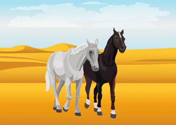 Vector illustration of Pair of horses in the desert