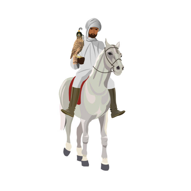Arab horseman on falconry Arab man in traditional clothing riding his horse with falcon. Vector illustration isolated on white background arab man riding horse stock illustrations
