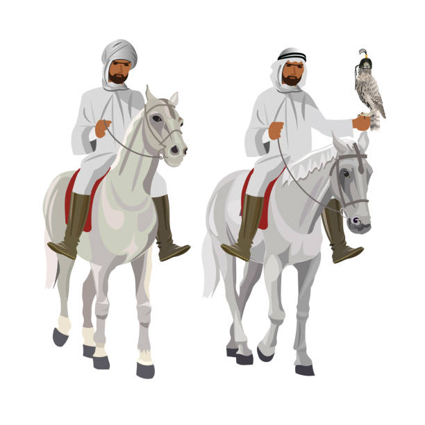 Arab horsemen on falconry. Two arab horsemen on falconry. Vector illustration isolated on white background arab man riding horse stock illustrations