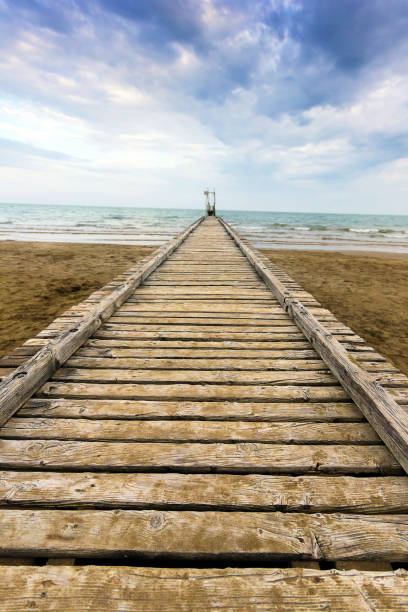 istock wooden dock on a sandy beach 956586498