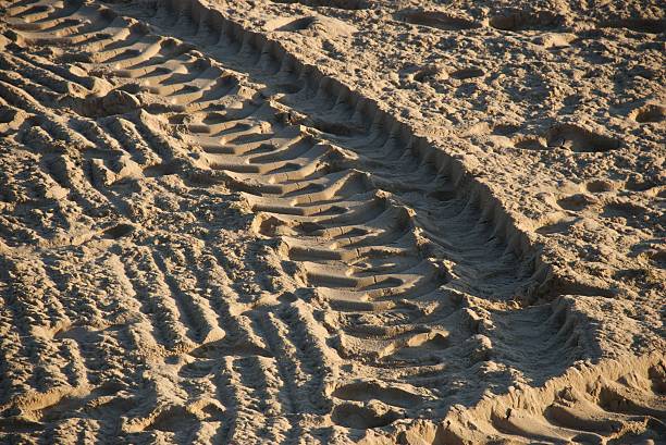 istock Tire tracks in the sand 95658915