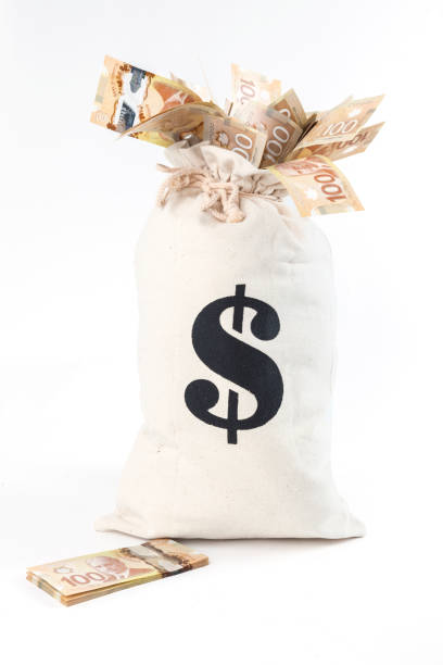 istock Bag Overflowing with Money - Canada 956590716