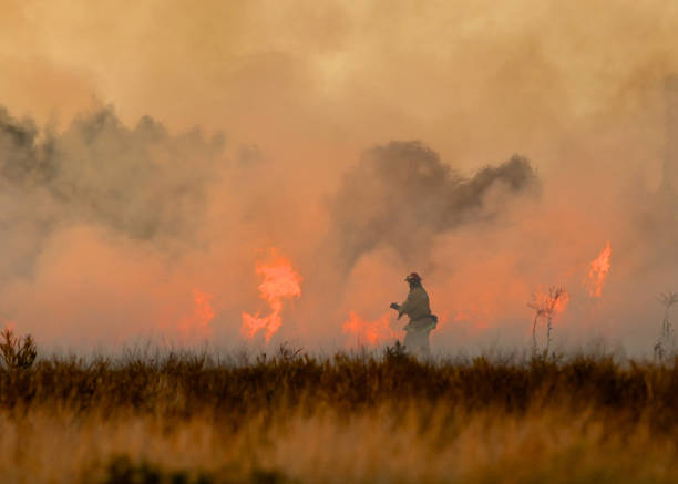 Fighting fire with fire. Firefighter fighting a brush fire wildfire smoke stock pictures, royalty-free photos & images