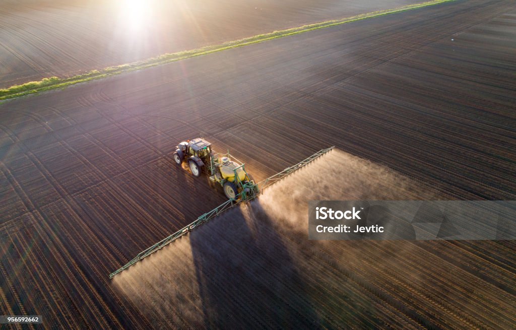 Tractor spraying young crops in field Aerial image of tractor spraying soil and young crop in springtime in field Agriculture Stock Photo