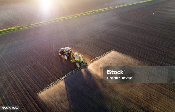 Tractor Spraying Young Crops In Field Stock Photo - Download Image Now - Agriculture, Fertilizer, Spraying